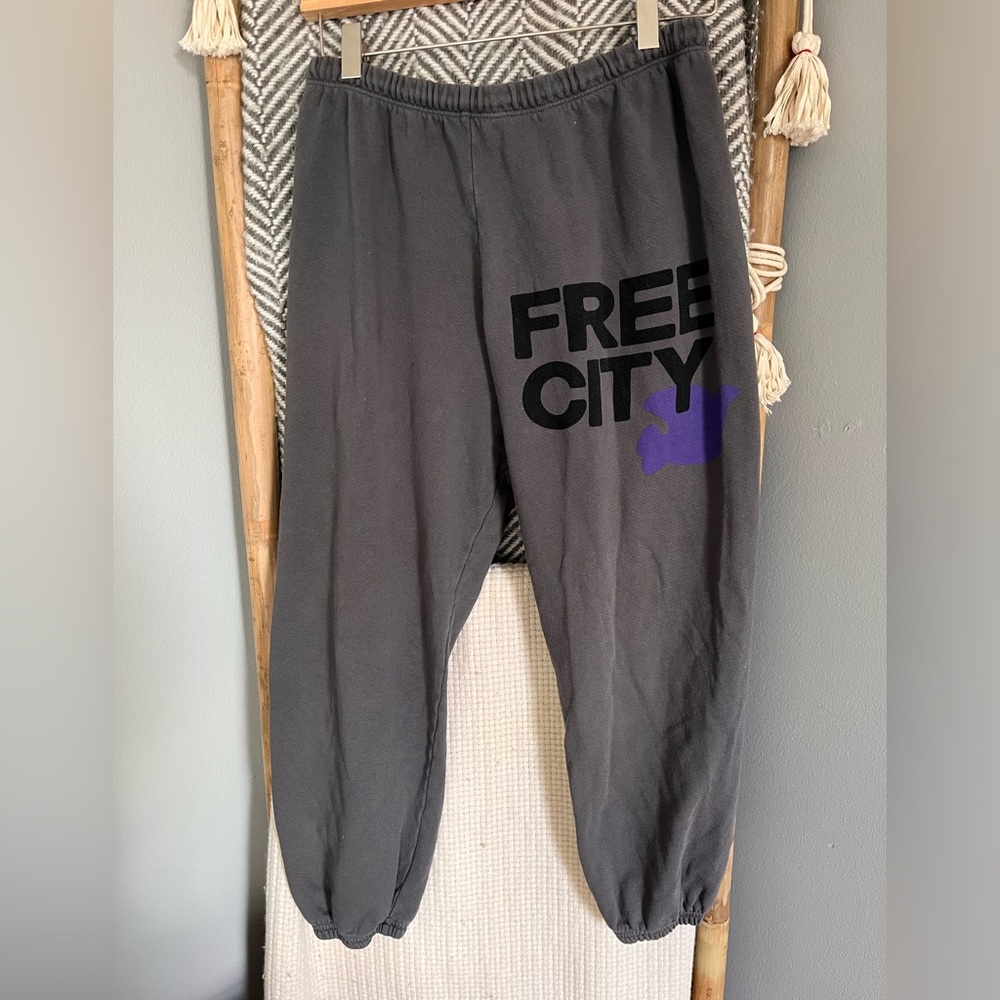 Free City sweatpants size xs